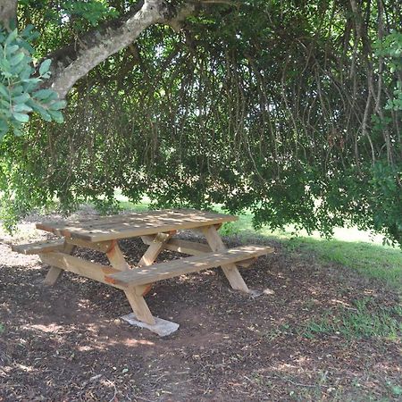 Can Porretí Agroturisme Lloret de Vistalegre Exterior foto